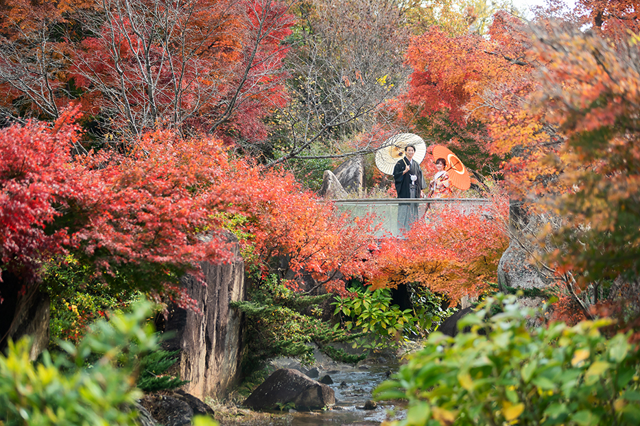 紅葉前撮り