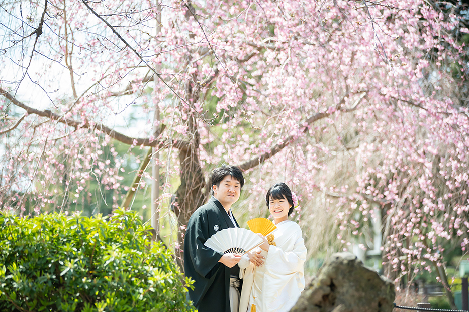 愛知県名古屋市の鶴舞公園での桜・和装前撮り撮影。