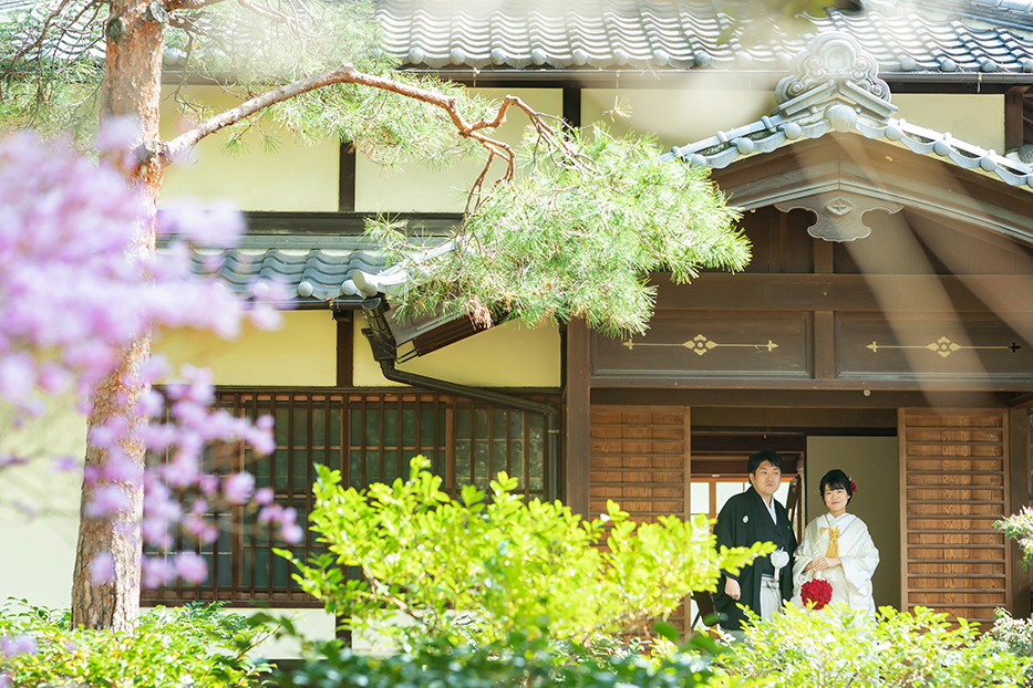 愛知県名古屋市の鶴舞公園での桜・和装前撮り撮影。