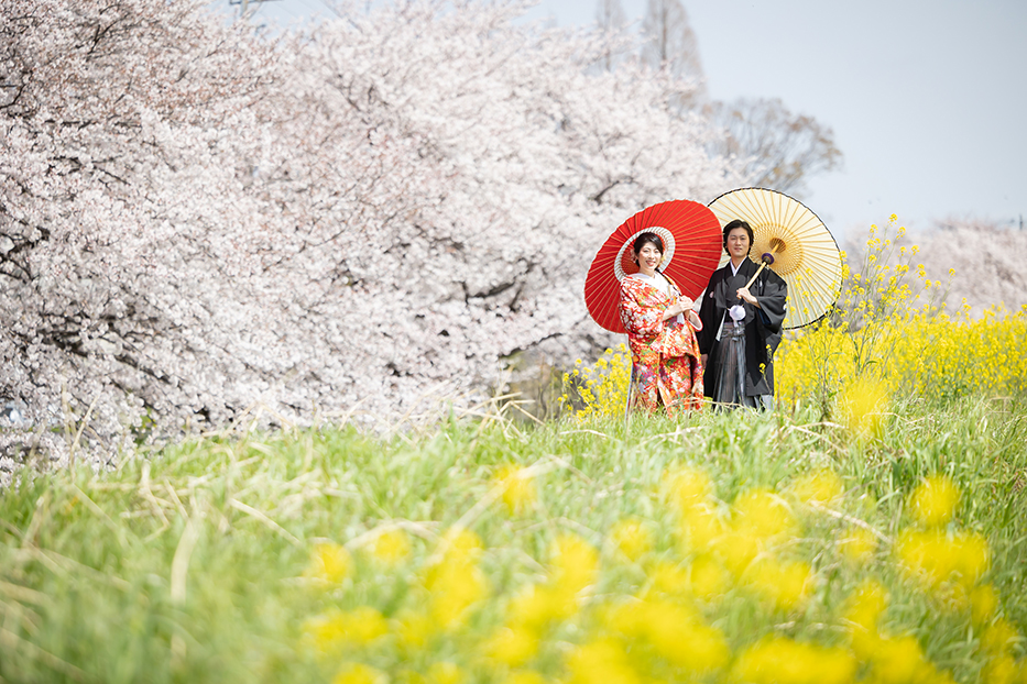 岐阜県大垣市の赤坂宿での和装前撮り。移動途中で偶然見つけた桜スポット