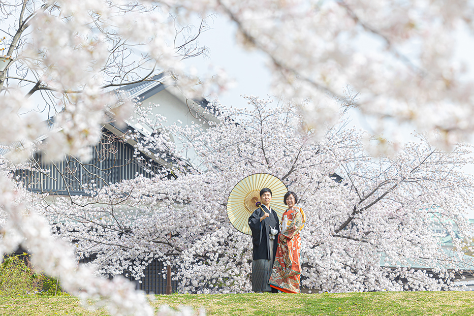 名古屋市の徳川園での桜和装前撮り撮影