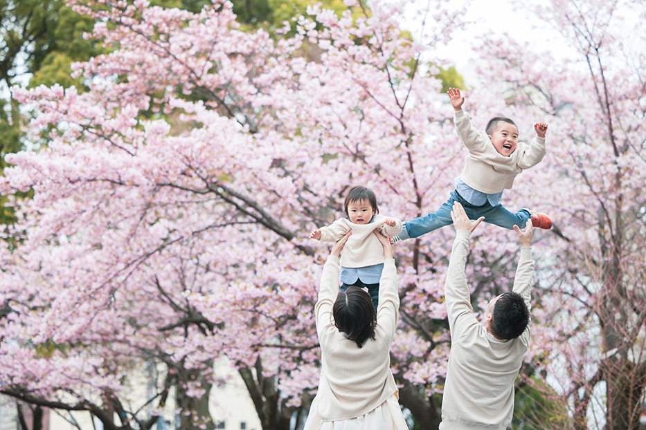 名古屋市の市政資料館で誕生日記念撮影。満開の桜の下で撮影
