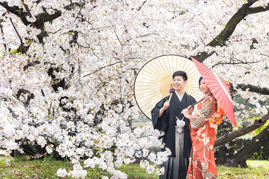 名古屋城での桜・和装前撮り撮影