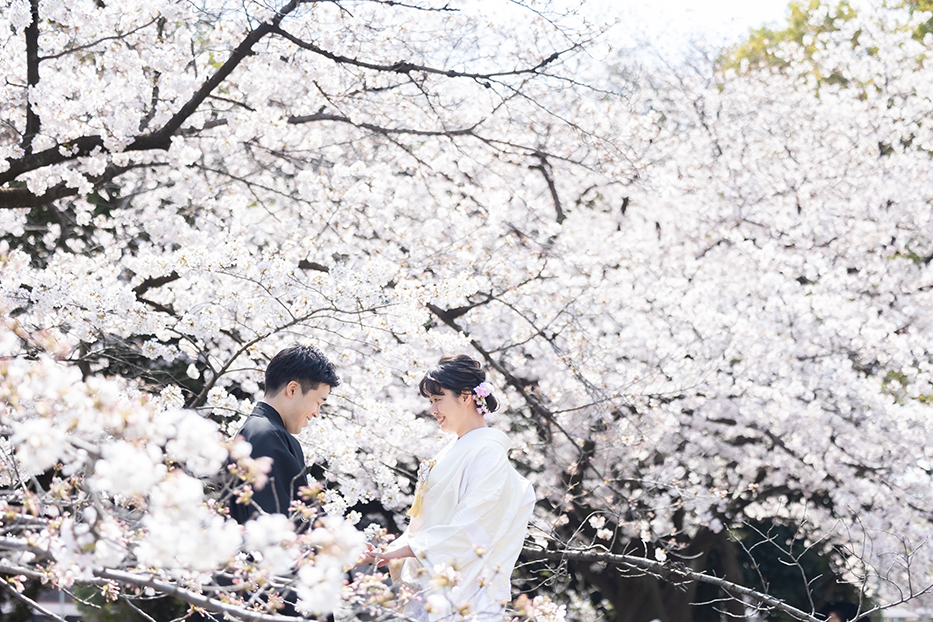 名古屋城での桜前撮り撮影