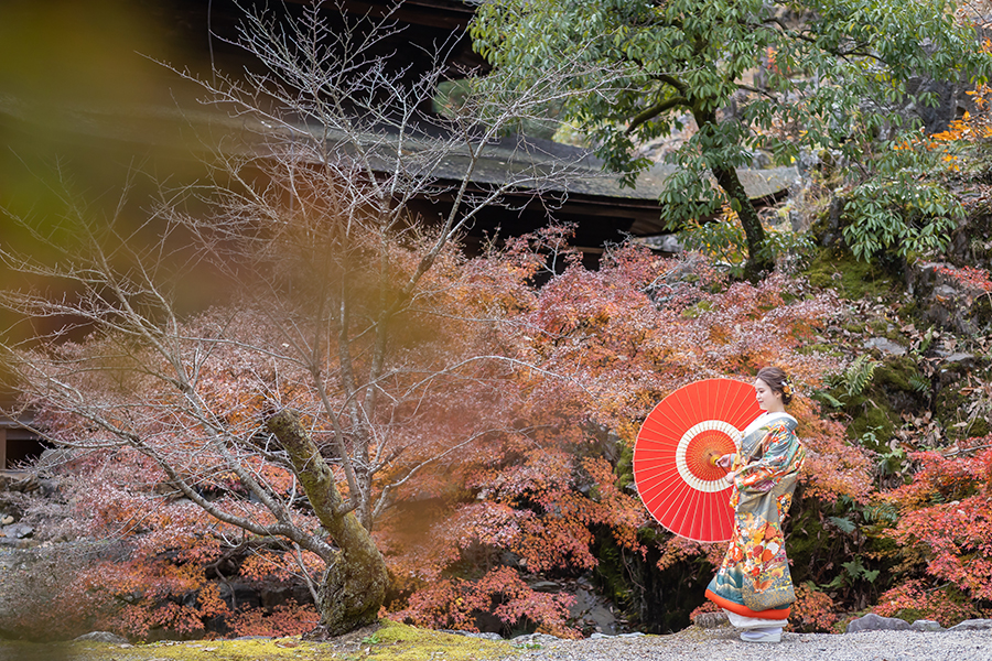 岐阜県多治見市の永保持での紅葉・和装前撮り撮影。色打ち掛けと真っ赤なもみじがピッタリ