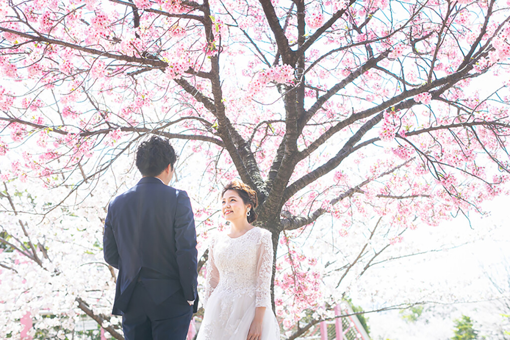ミモザ・桜とドレス前撮り撮影