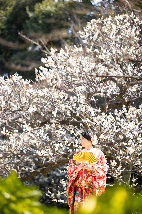 梅シーズン！名古屋市の徳川園での和装前撮り