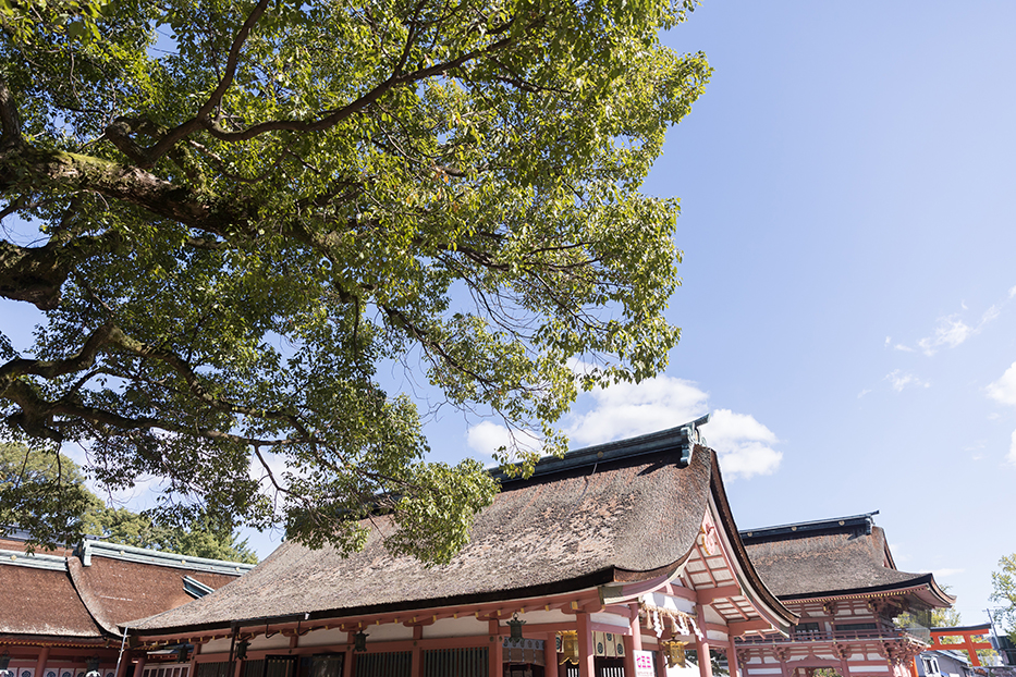 津島神社での七五三撮影