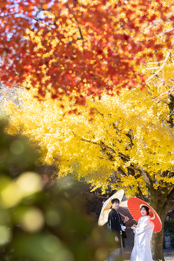 岐阜・赤坂宿での紅葉・和装前撮り。