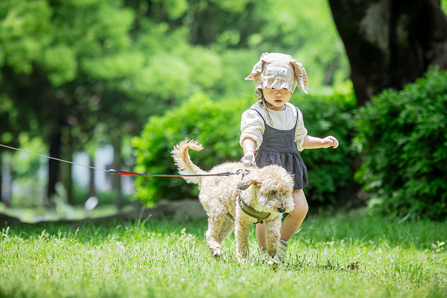 愛犬撮影。犬のいる暮らし