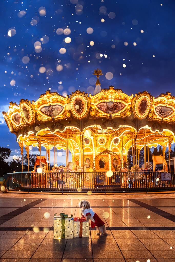 イルミネーション撮影